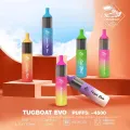 Disposable Vape Pen Big Capacity 4500puffs Fruit Flavor